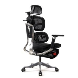 Ergonomic Chair