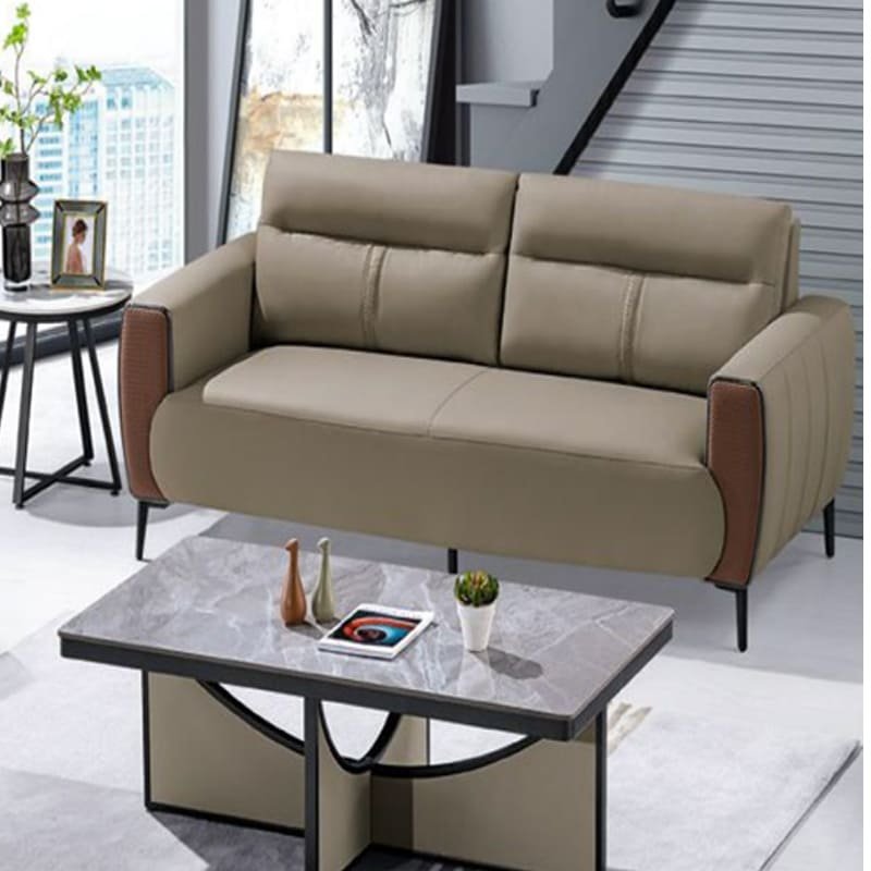 T103 Leisure Sofa - Image 4